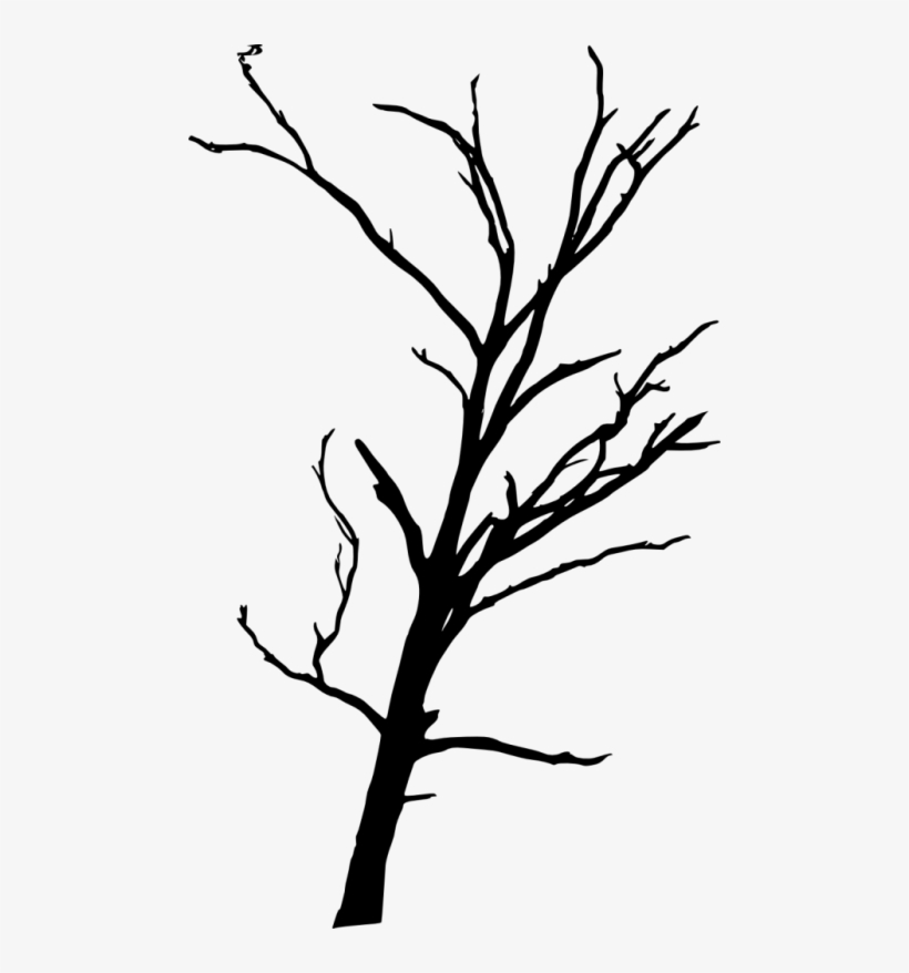 Free Png Dead Tree Silhouette Png Images Transparent - Dead Tree Transparent, transparent png download