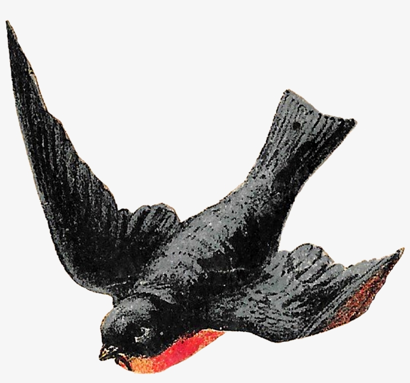 Digital Flying Birds Clipart Downloads, transparent png download