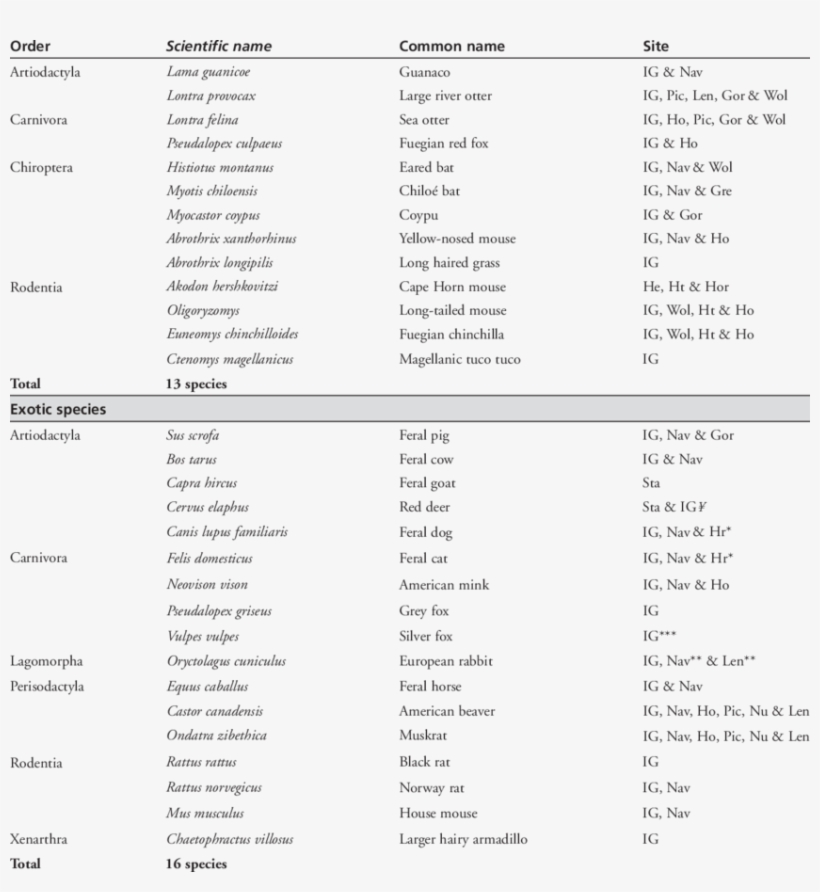 Native And Exotic Terrestrial Mammals Of The Tierra - Tierra Del Fuego Province, Argentina, transparent png download