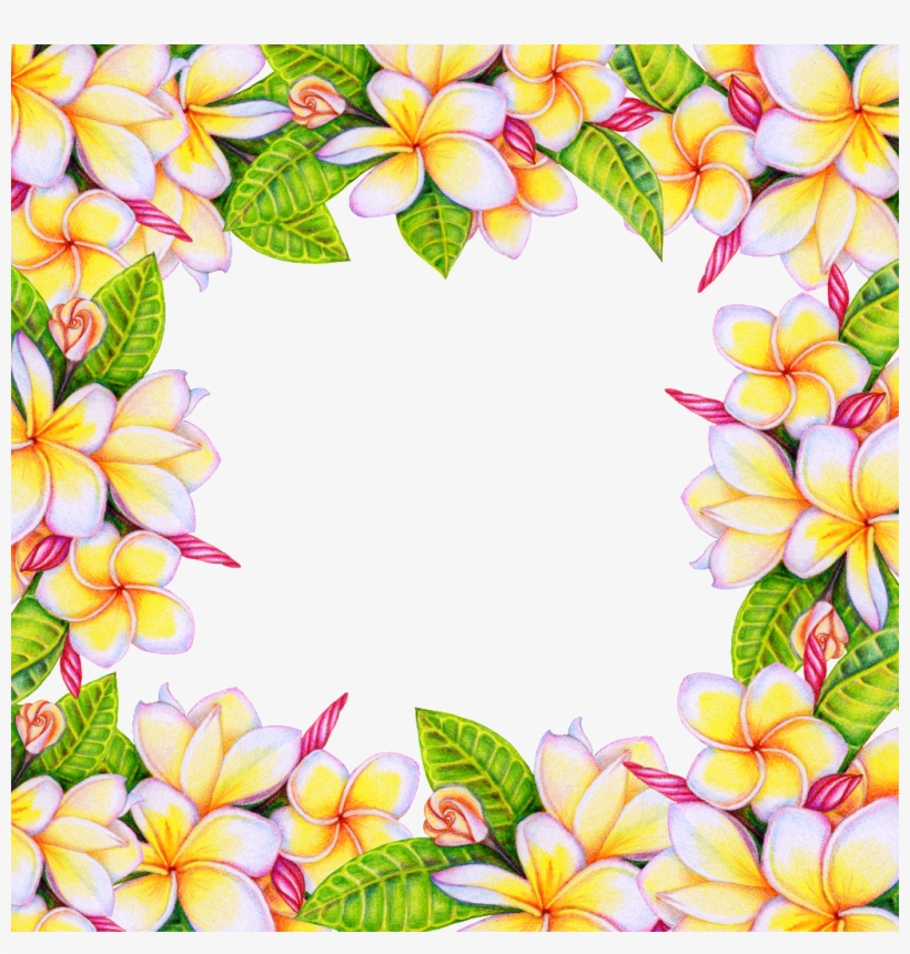 Tervis 1245234 Garden Party Tumbler With Wrap, 16 Oz,, transparent png download