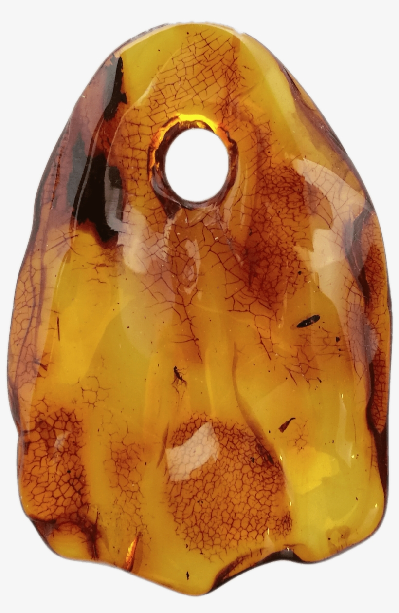 Amber Pendant With Small Insect - Brighton Silver, transparent png download