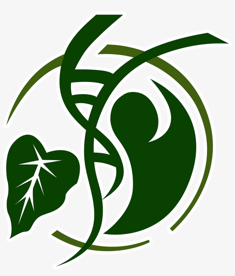 Clip Arts Related To - Health Logo No Background, transparent png download
