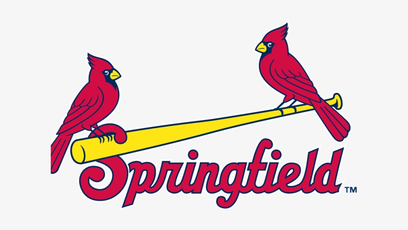 St Louis Cardinals Png Transparent Image - Springfield Cardinals Logo, transparent png download
