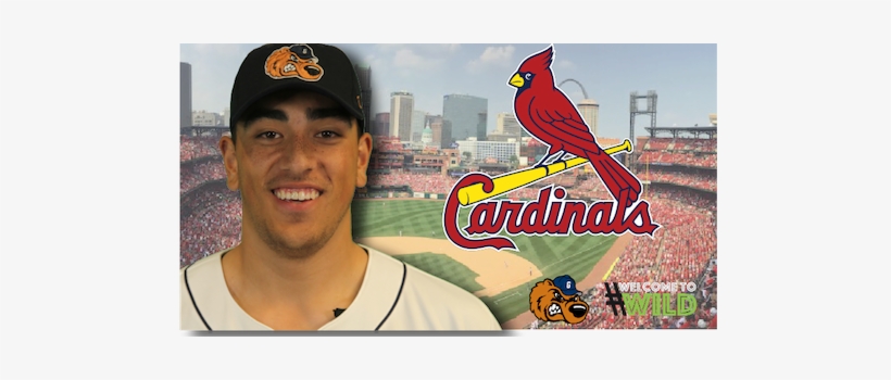 Gateway's Alec Kisena Signs With The St - 2011 St. Louis Cardinals Team Logo Sports, transparent png download