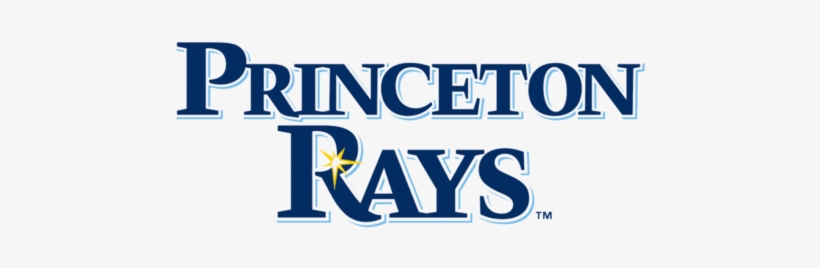 Probably The Most Important Factor Determining The - Princeton Rays, transparent png download