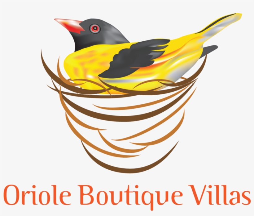 Oriole Boutique Villas Bentota, - Oriole Boutique Villas, transparent png download