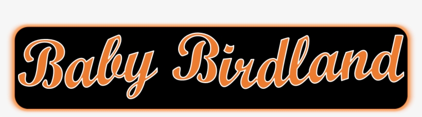 Search This Blog - Calligraphy, transparent png download