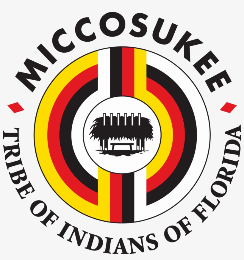 Fiu Teams Up With Miami Heat, Miccosukee Tribe For - Team Lick Cancer, transparent png download