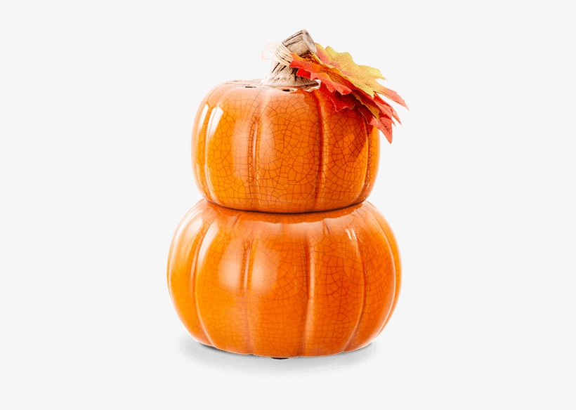 Patch Of Pumpkins Scentsy For Sale Now At Getascent - Scentsy Pumpkin Warmer 2018, transparent png download