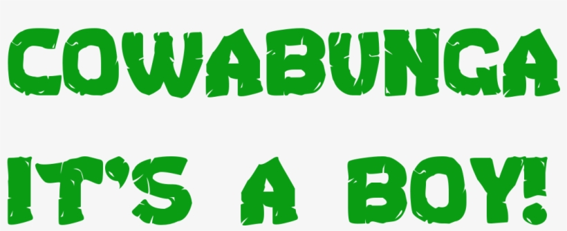 Tmnt Font And Tmnt Logo Turtle Baby Showers, Baby Turtles, - Turtle Power Rectangle Magnet, transparent png download