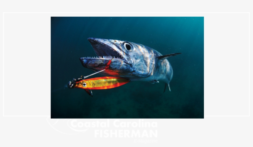 Slow Jigging Fishing Tips - Jigging Fishing, transparent png download