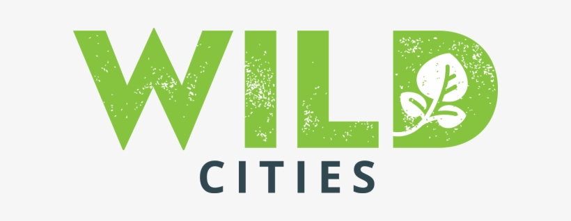 Subscribe To Our Newsletter - Wild Foundation Logo, transparent png download