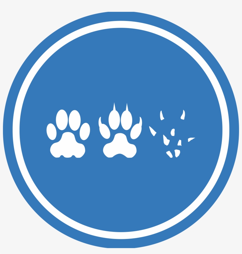 This Free Icons Png Design Of Cat Dog Mouse Unification, transparent png download