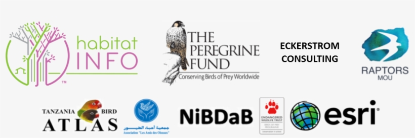 2014, transparent png download