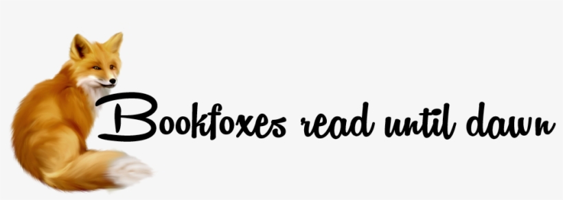 ~bookfoxes Read Until Dawn ~ - Animals Fox Greeting Cards, transparent png download