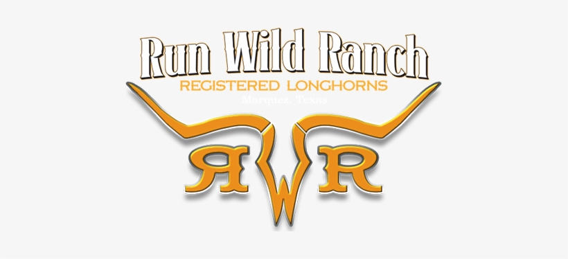 Run Wild Ranch Logo - Texas, transparent png download