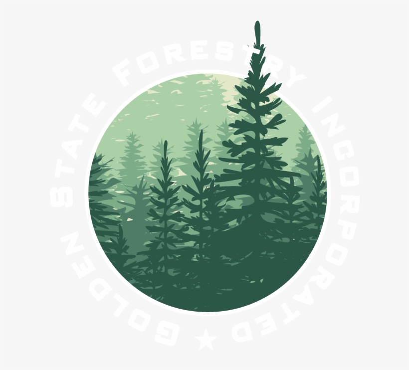 Illustration, transparent png download