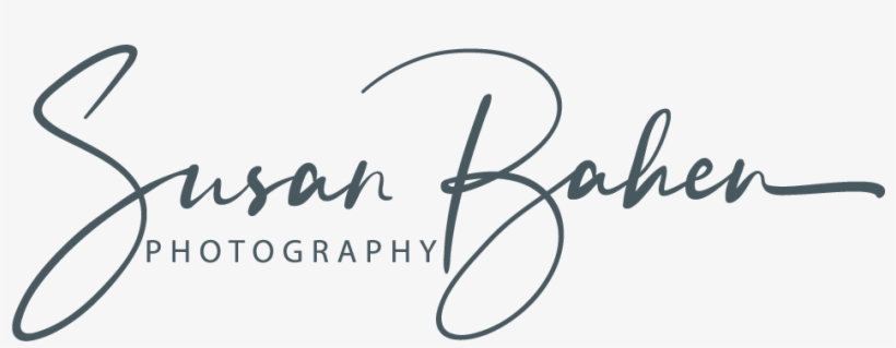 Fine Art Photography Png Logos, transparent png download