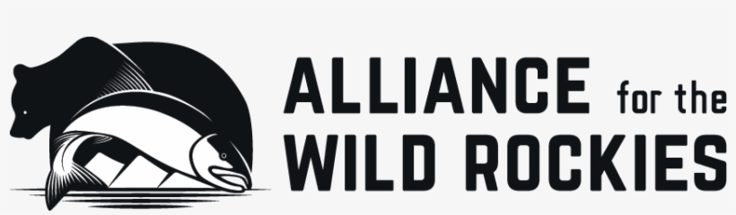 4 Year Cancerversary, transparent png download