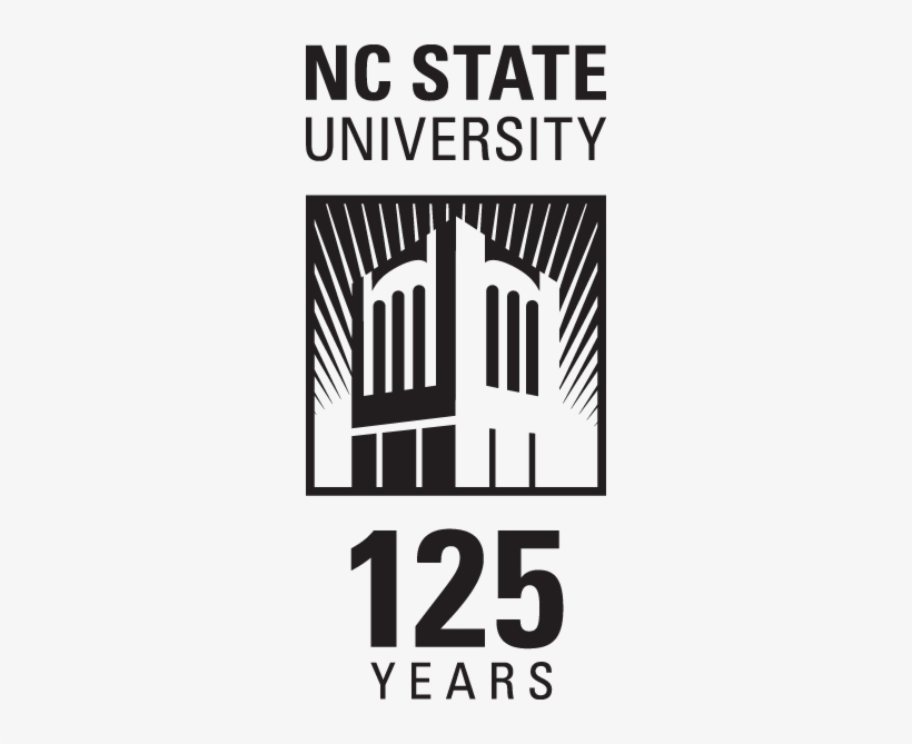 Summer Reu - Nc State Engineering Logo, transparent png download