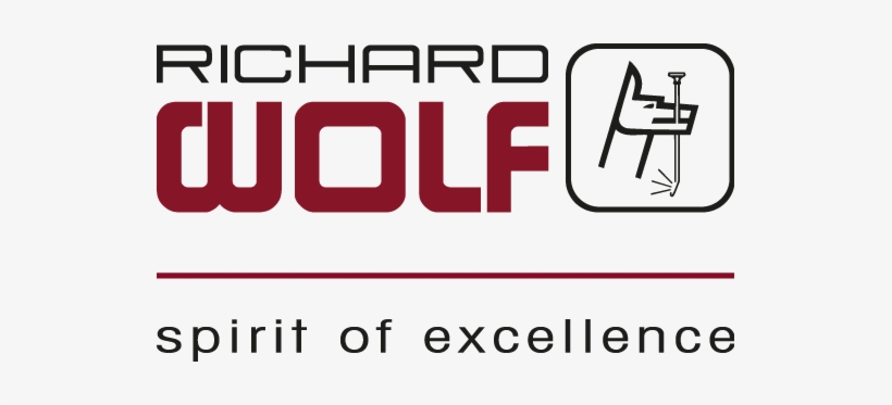 Richard Wolf Logo - Richard Wolf, transparent png download