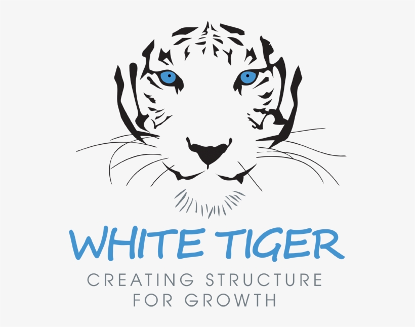 White Tiger, transparent png download