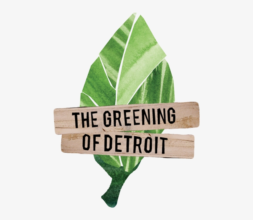 The Greening Of Detroit Rebranding Concept // - Bay Laurel, transparent png download