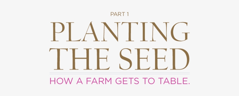 Michigan State University's Student Organic Farm Is - Beige, transparent png download