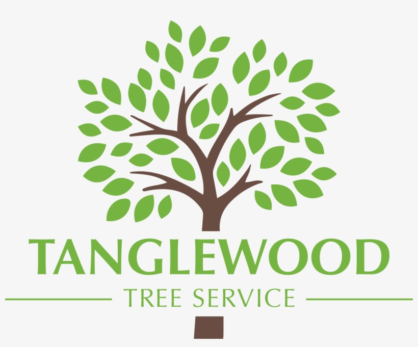 Tree Of Wooden Clogs (dvd), transparent png download