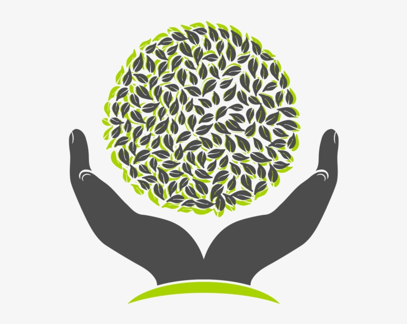 Tree In Hands Logo - Amputee Coalition Of America Logo, transparent png download
