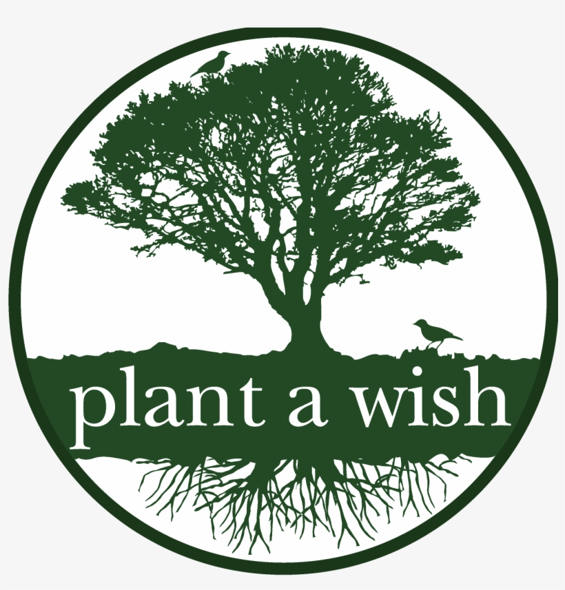 Texas Death Row Yogi By Pete Russell, transparent png download