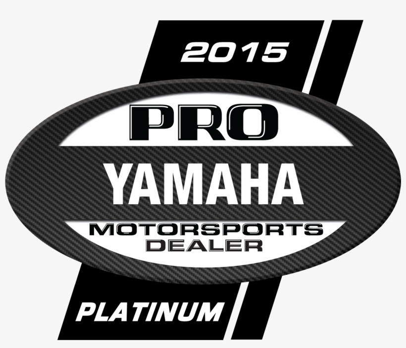 Air Jordan Png Posicionamientotiendas - Waterguard Diamond 4-pk. Indoor Outdoor Stair Treads,, transparent png download