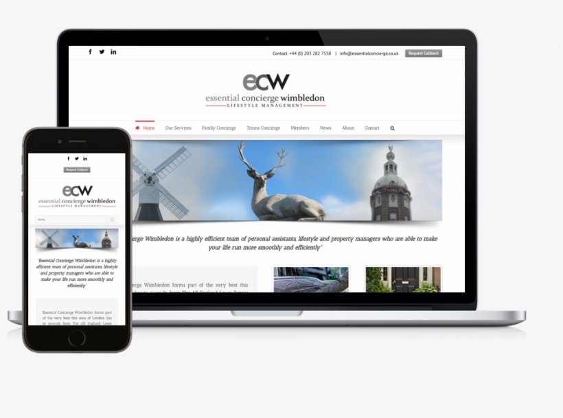 Ecw New Website - Shopware, transparent png download