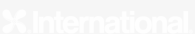 Leave - Interview; Research On Its Anatomy And Structure, transparent png download