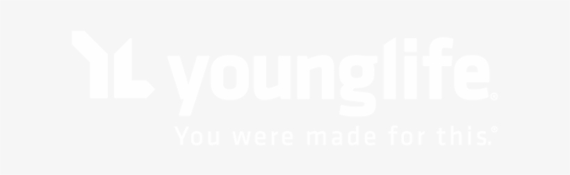 Niv, Faithlife Study Bible, Hardcover: Intriguing Insights, transparent png download