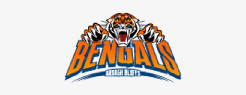 Ardagh Bluffs Ps - Wests Tigers Nrl Uv Car Decals 5 Stickers Per Sheet, transparent png download