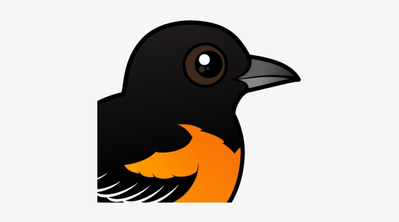 About The Baltimore Oriole - Baltimore, transparent png download