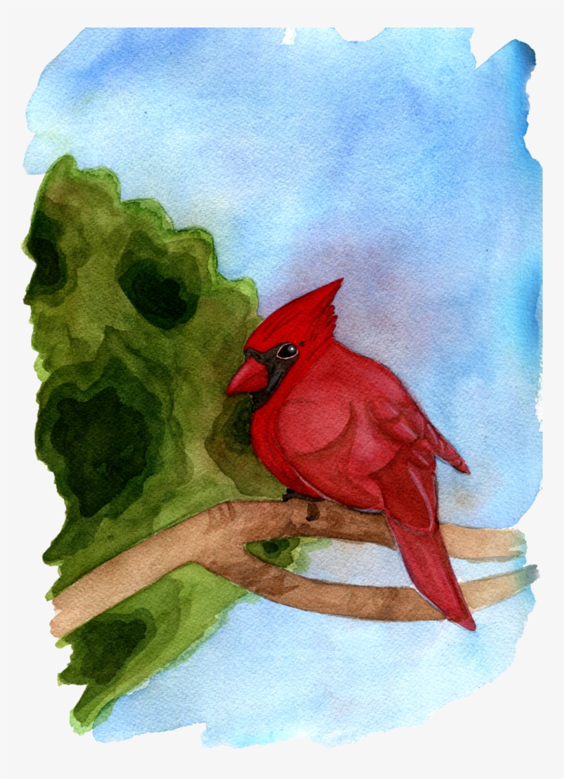 Cardinal By Jamschlosser On Deviantart Clipart Stock - Stock, transparent png download