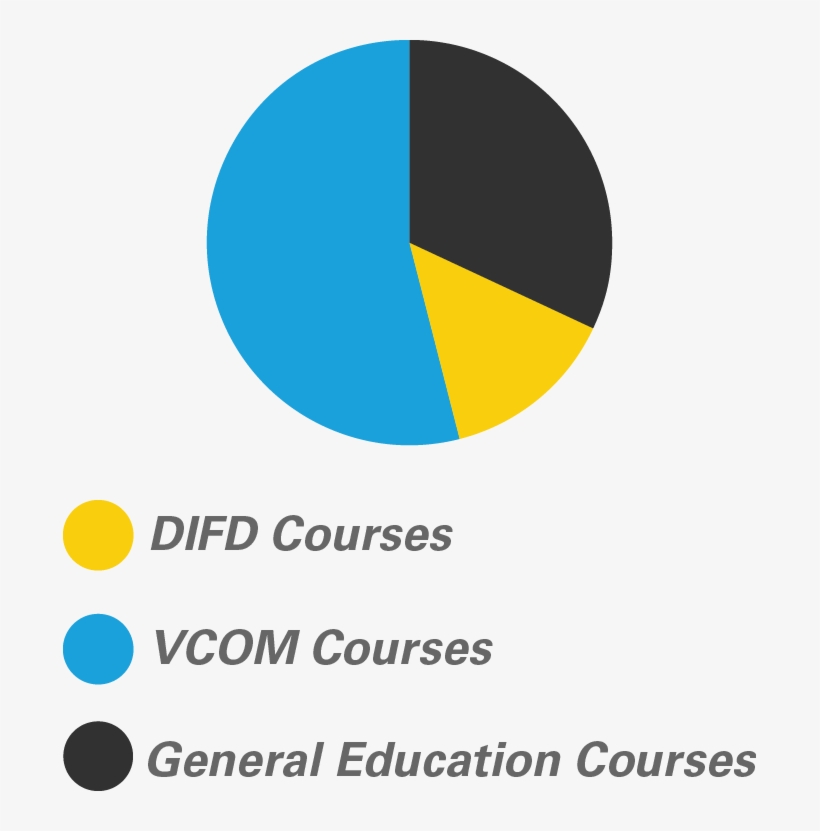 Illustration Credits Chart - Graduation Ceremony, transparent png download
