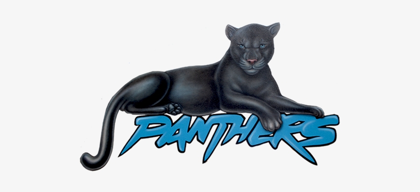 Panther Png - Bonney Lake Panthers, transparent png download