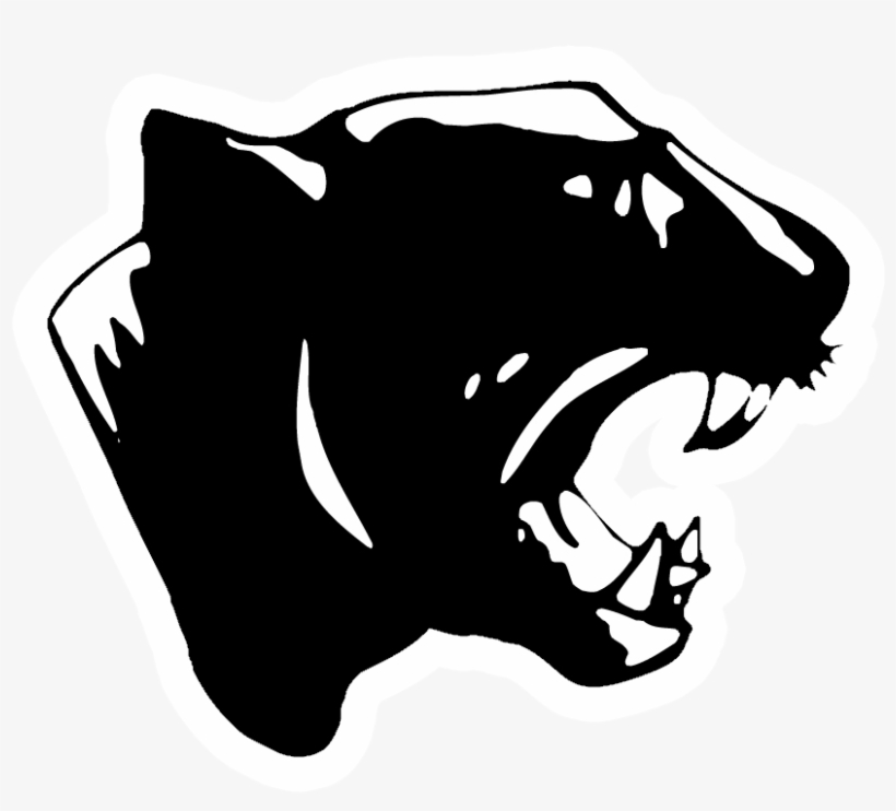 Stockbridge Panthers - Derby High School Panthers, transparent png download