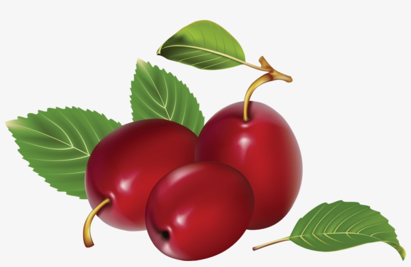 Red Plum Fruit Cartoon, transparent png download