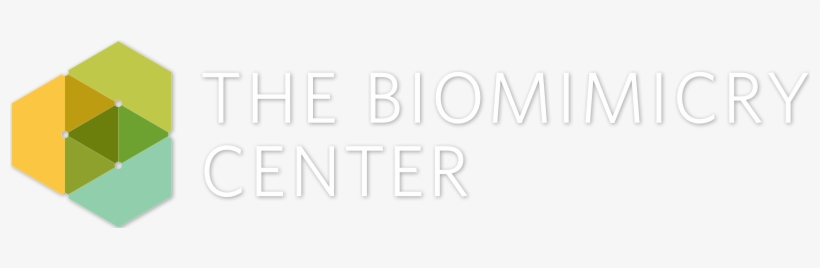 The Biomimicry Center At Arizona State University - Biomimicry Center Asu, transparent png download