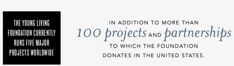 The Young Living Foundation Currently Runs Five Major - Young Living Foundation, transparent png download