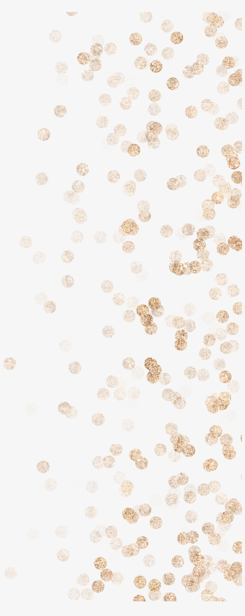 31, transparent png download