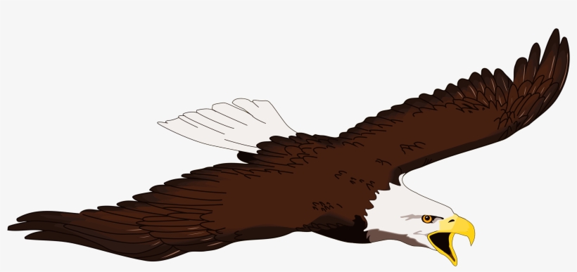 Eagle Clipart Free Clipart - Icon, transparent png download