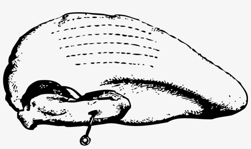 This Free Clipart Png Design Of Boiled Turkey, transparent png download