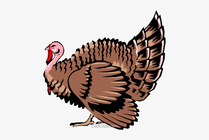 Free Download At Getdrawings Com Free For Personal - Turkey Farmer Clipart, transparent png download