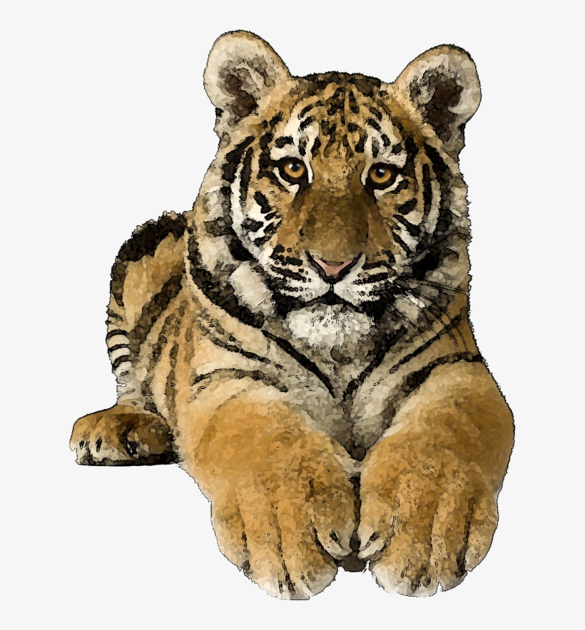 Tiger Clipart - Tiger Pics Art Png, transparent png download