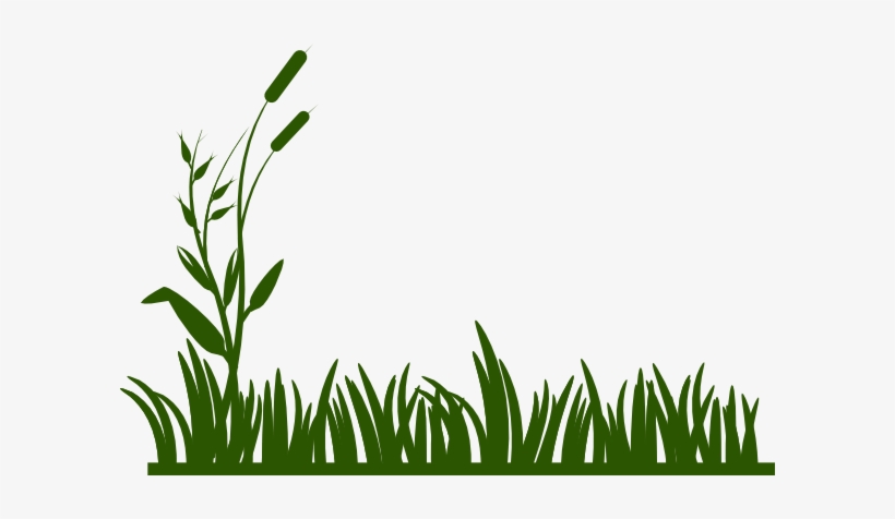 Grass Free On Dumielauxepices Net - Jungle Grass Clipart, transparent png download